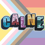 calne pride 2025 pic of calne pride 2025