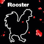rooster athens