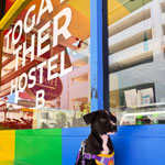 togayther hostel bkk bangkok pic of togayther hostel bkk bangkok